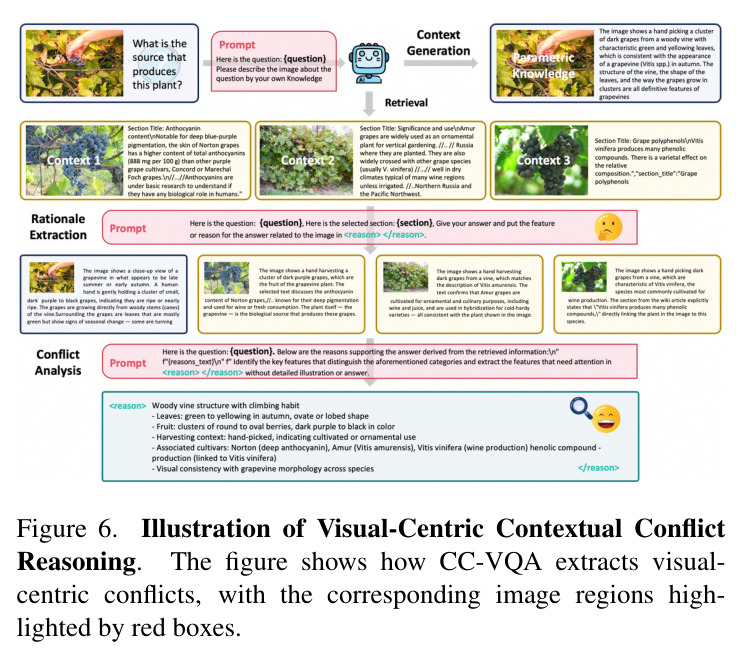 Illustration of Visual-Centric Contextual Conflict Reasoning