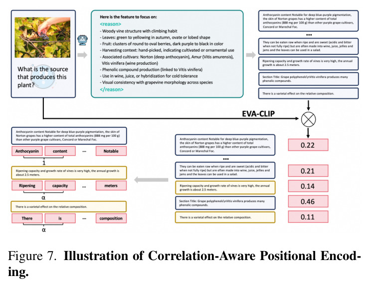 Illustration of Correlation-Aware Positional Encoding