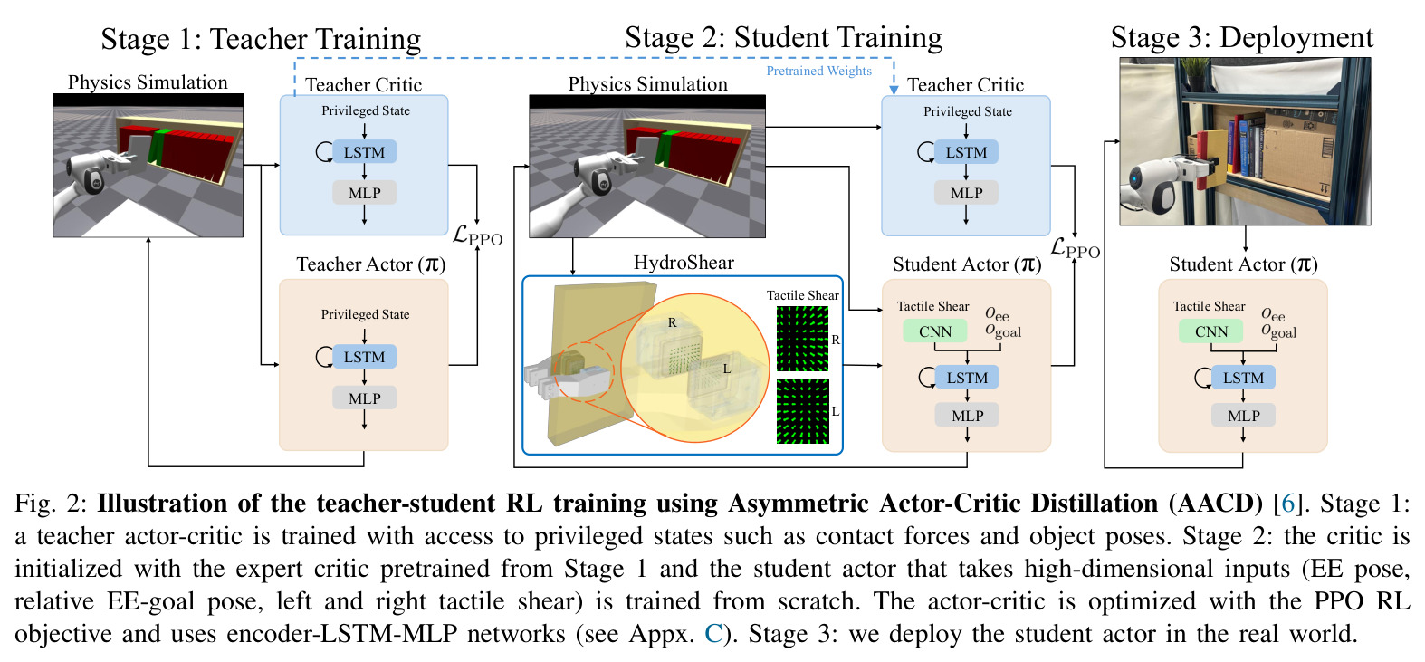Illustration of the teacher-student RL training using Asymmetric Actor-Critic Distillation (AACD).