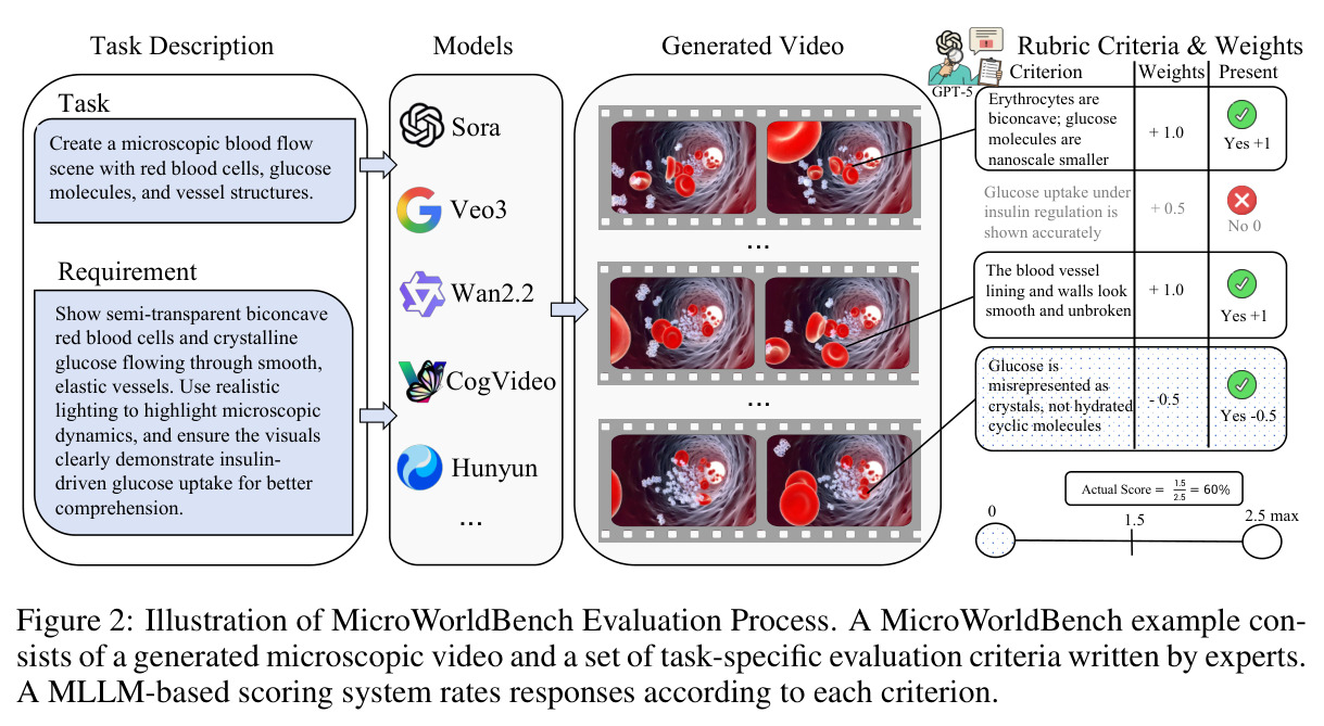 Illustration of MicroWorldBench Evaluation Process. A MicroWorldBench example consists of a generated microscopic video and a set of task-specific evaluation criteria written by experts. A MLLM-based scoring system rates responses according to each criterion.