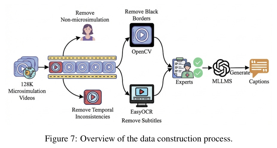 Overview of the data construction process.