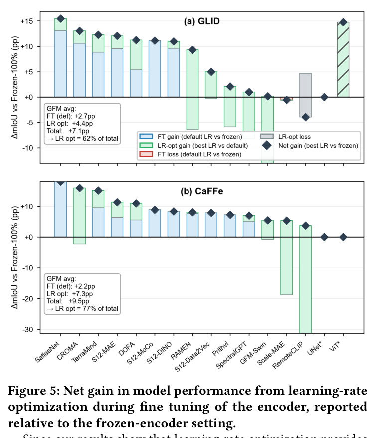 Net gain in model performance from learning-rate optimization during fine tuning of the encoder, reported relative to the frozen-encoder setting.