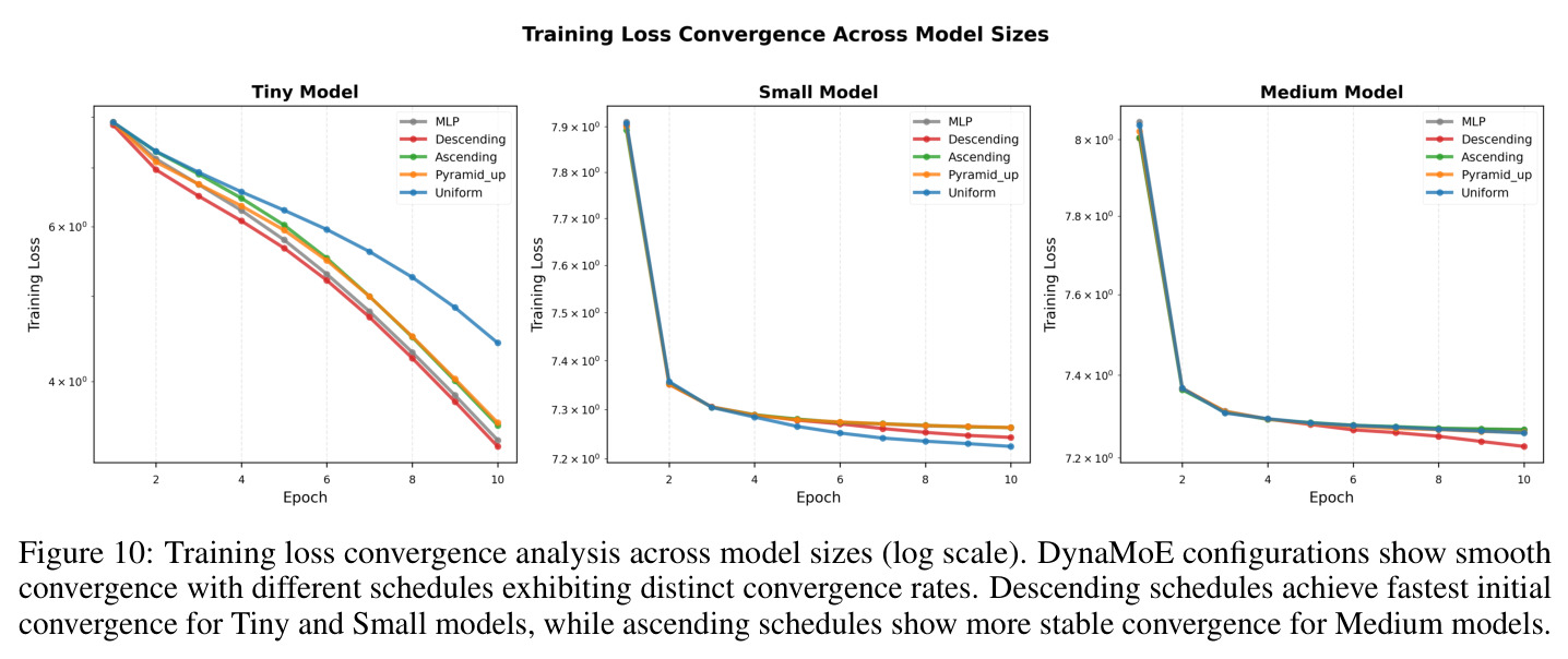 Training loss convergence analysis across model sizes (log scale).