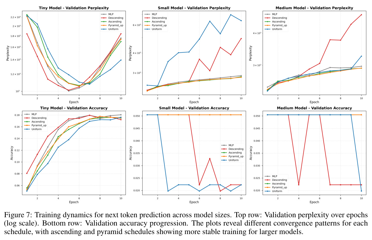 Training dynamics for next token prediction across model sizes.
