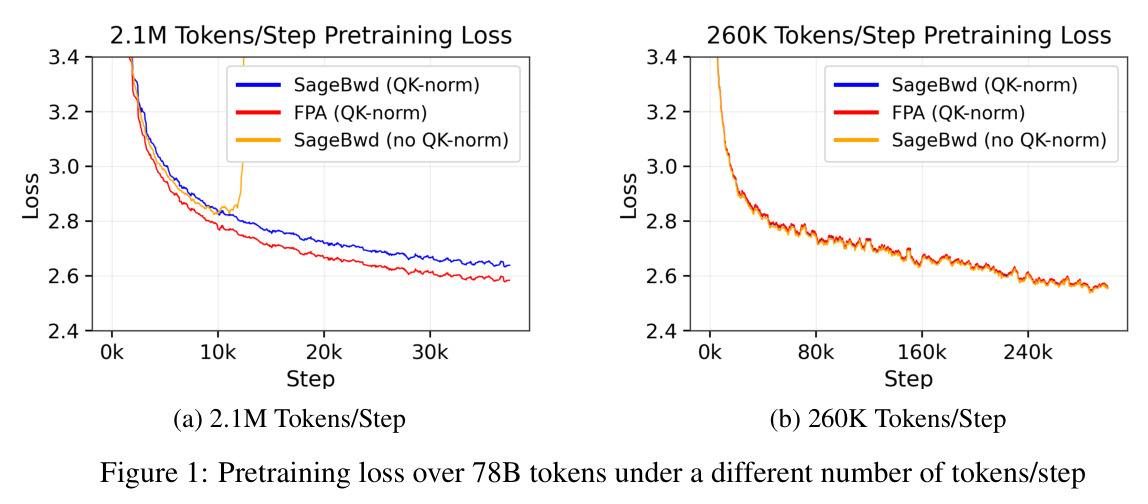 不同tokens-per-step下的预训练损失曲线