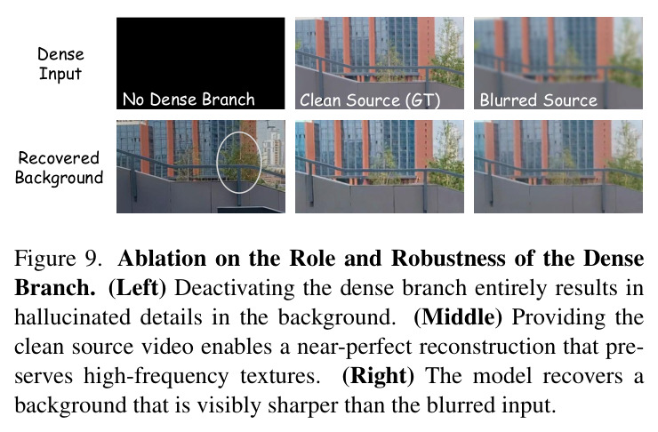 Ablation on the Role and Robustness of the Dense Branch — Left: no dense branch; Middle: clean source GT; Right: blurred source input