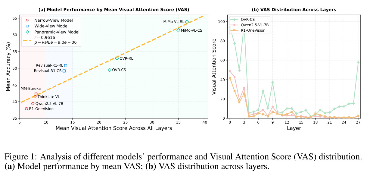 不同模型的性能与Visual Attention Score (VAS)分布分析