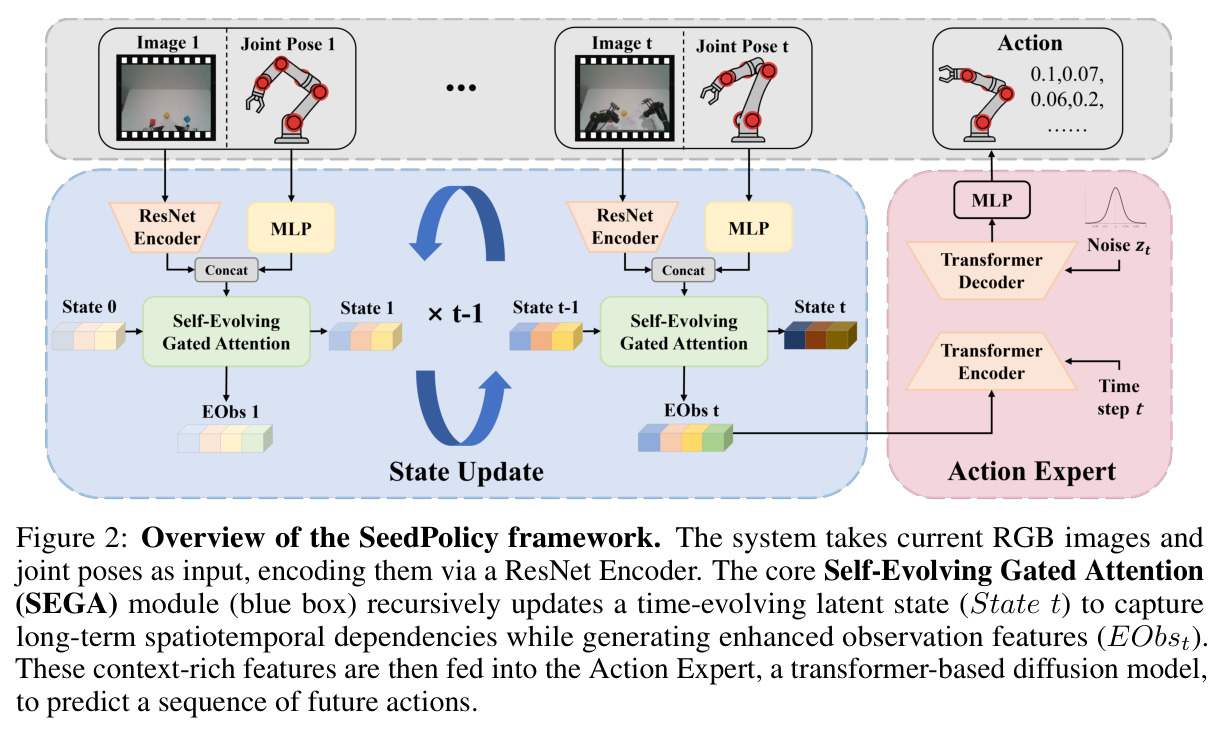 Overview of the SeedPolicy framework. The system takes current RGB images and joint poses as input, encoding them via a ResNet Encoder. The core Self-Evolving Gated Attention (SEGA) module (blue box) recursively updates a time-evolving latent state (State t) to generate enhanced observation features (EObst). These context-rich features are then fed into the Action Expert, a transformer-based diffusion model, to predict a sequence of future actions.