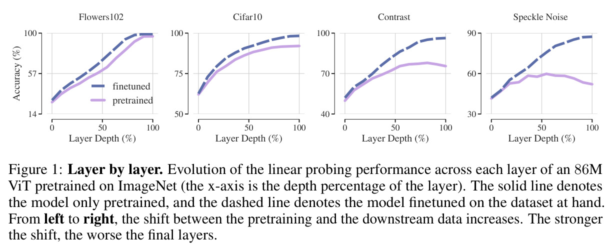 Layer by layer. Evolution of the linear probing performance across each layer of an 86M ViT pretrained on ImageNet.