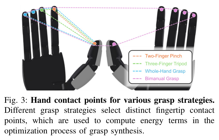 Hand contact points for various grasp strategies