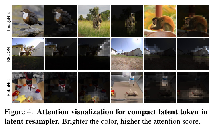 Attention visualization for compact latent token in latent resampler