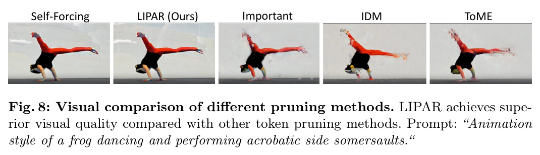 Visual comparison of different pruning methods