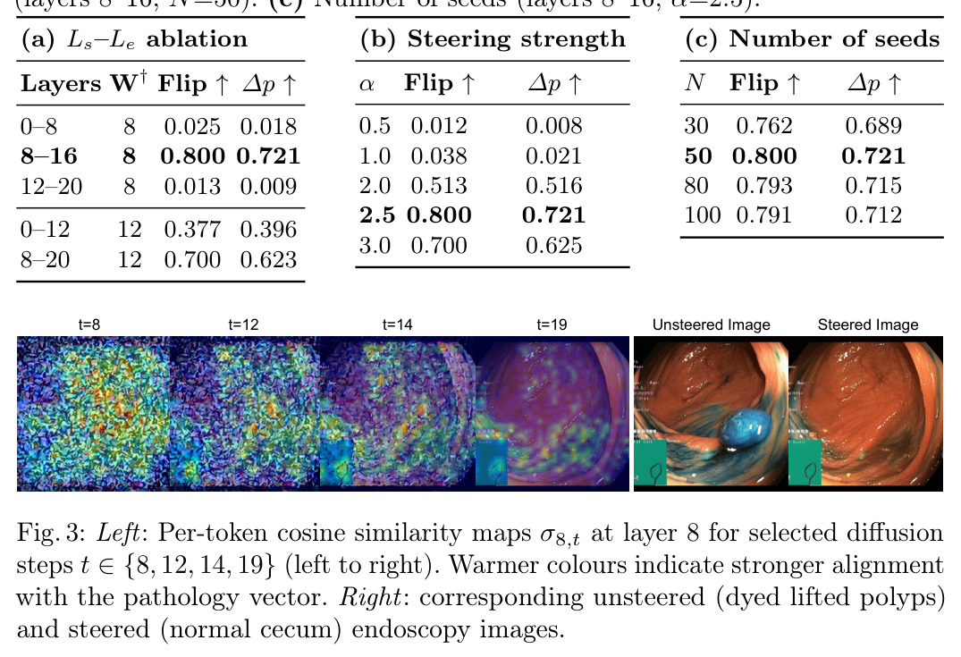 Per-token cosine similarity maps σ8,t at layer 8 for selected diffusion steps t ∈{8, 12, 14, 19}, plus unsteered/steered images.