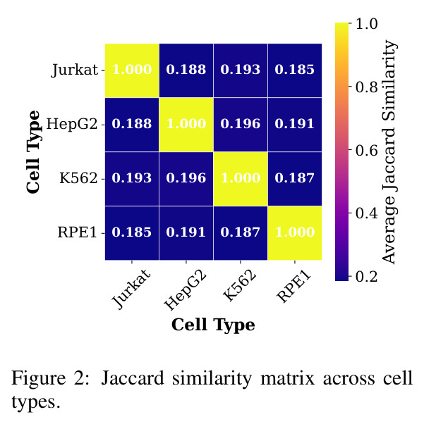 Jaccard similarity matrix across cell types