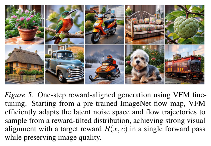 One-step reward-aligned generation using VFM fine-tuning