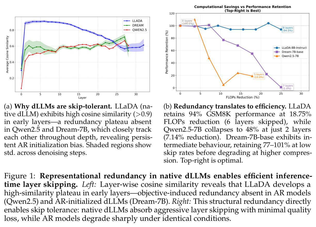 Representational redundancy in native dLLMs enables efficient inference-time layer skipping.