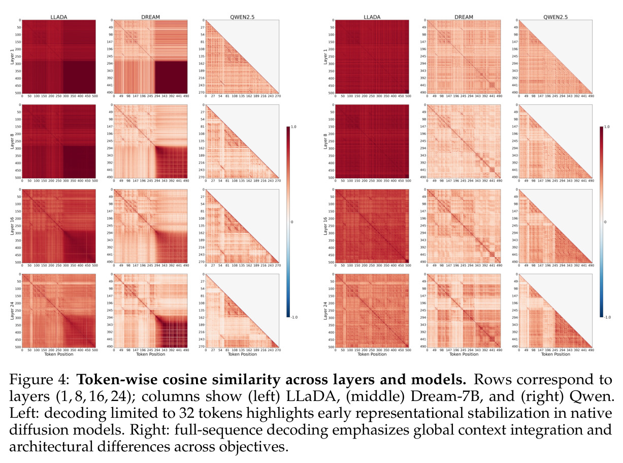 Token-wise cosine similarity across layers and models.