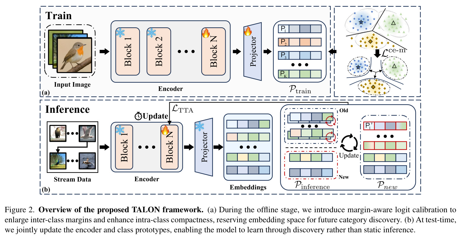 Overview of the proposed TALON framework. (a) During the offline stage, we introduce margin-aware logit calibration to enlarge inter-class margins and enhance intra-class compactness, reserving embedding space for future category discovery. (b) At test-time, we jointly update the encoder and class prototypes, enabling the model to learn through discovery rather than static inference.