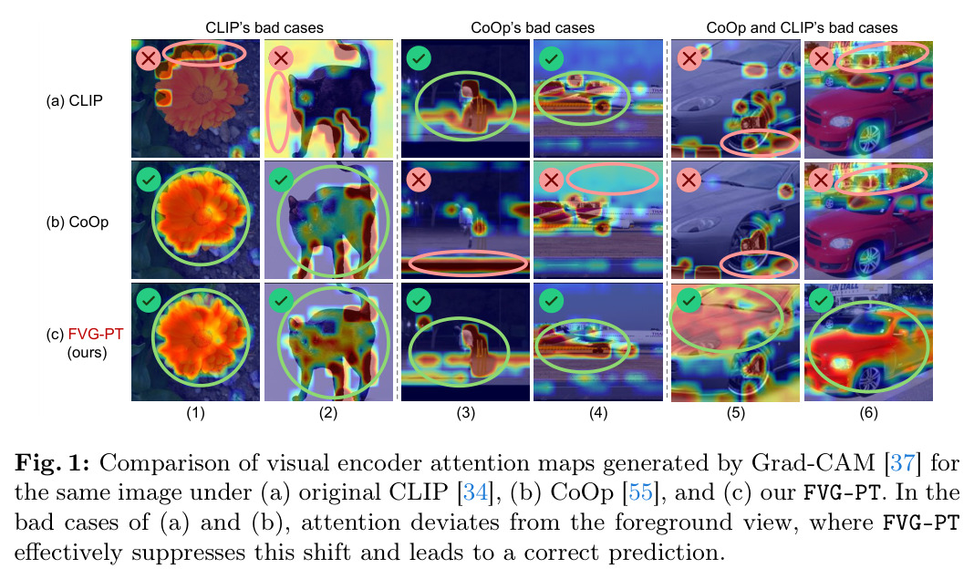 Comparison of visual encoder attention maps generated by Grad-CAM for the same image under (a) original CLIP, (b) CoOp, and (c) FVG-PT.
