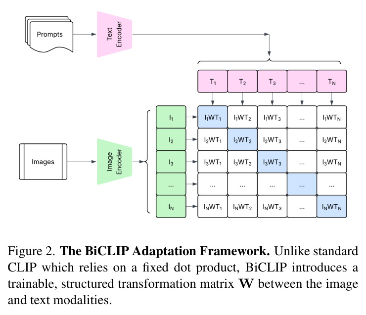 The BiCLIP Adaptation Framework