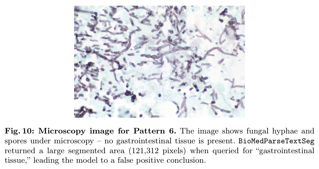 figure_10.jpg