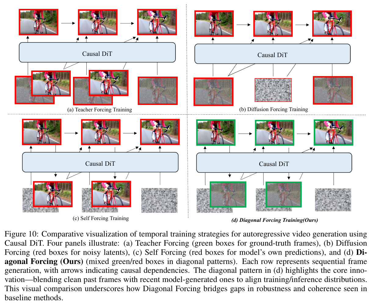Comparative visualization of temporal training strategies for autoregressive video generation using Causal DiT.