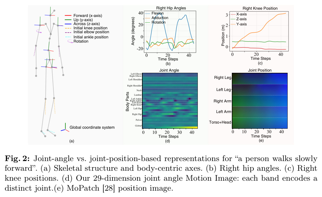 Joint-angle vs. joint-position-based representations for 'a person walks slowly forward'.