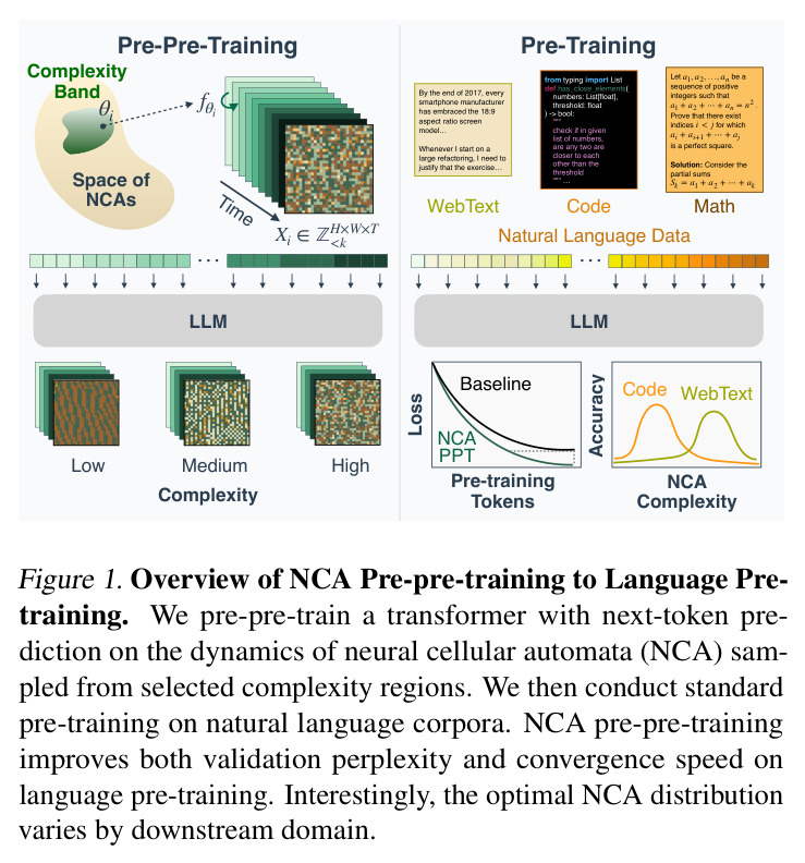 Overview of NCA Pre-pre-training to Language Pre-training. (摘要图,展示「pre-pre-training on NCA → standard pre-training on natural language」的两阶段流程,以及复杂度/数据源轴上的分布差异。)