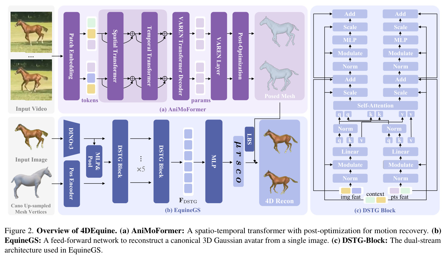 4DEquine概述。AniMoFormer：用于运动恢复的时空Transformer与后优化。EquineGS：从单张图像重建标准3D高斯化身的单流网络。DSTG-Block：EquineGS中使用的双流架构。