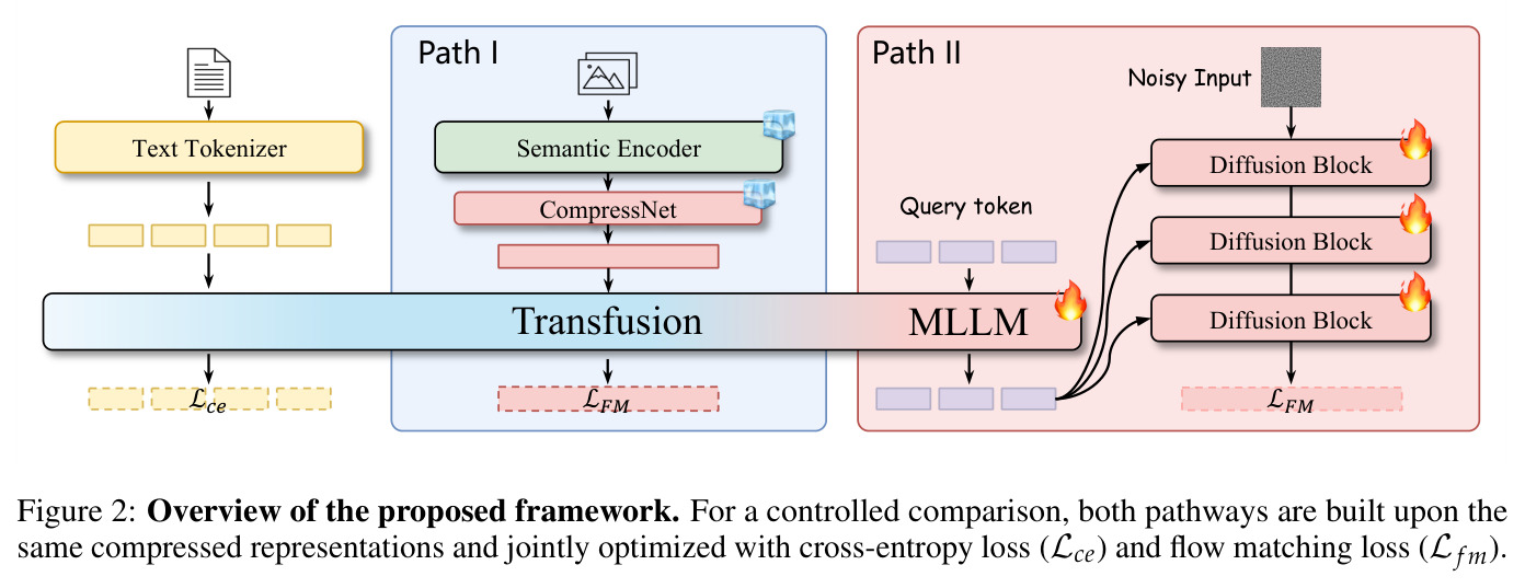 Overview of the proposed framework. For a controlled comparison, both pathways are built upon the same compressed representations and jointly optimized with cross-entropy loss (Lce) and flow matching loss (Lfm).