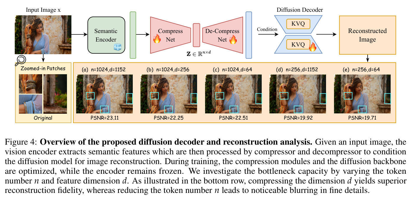 Overview of the proposed diffusion decoder and reconstruction analysis.