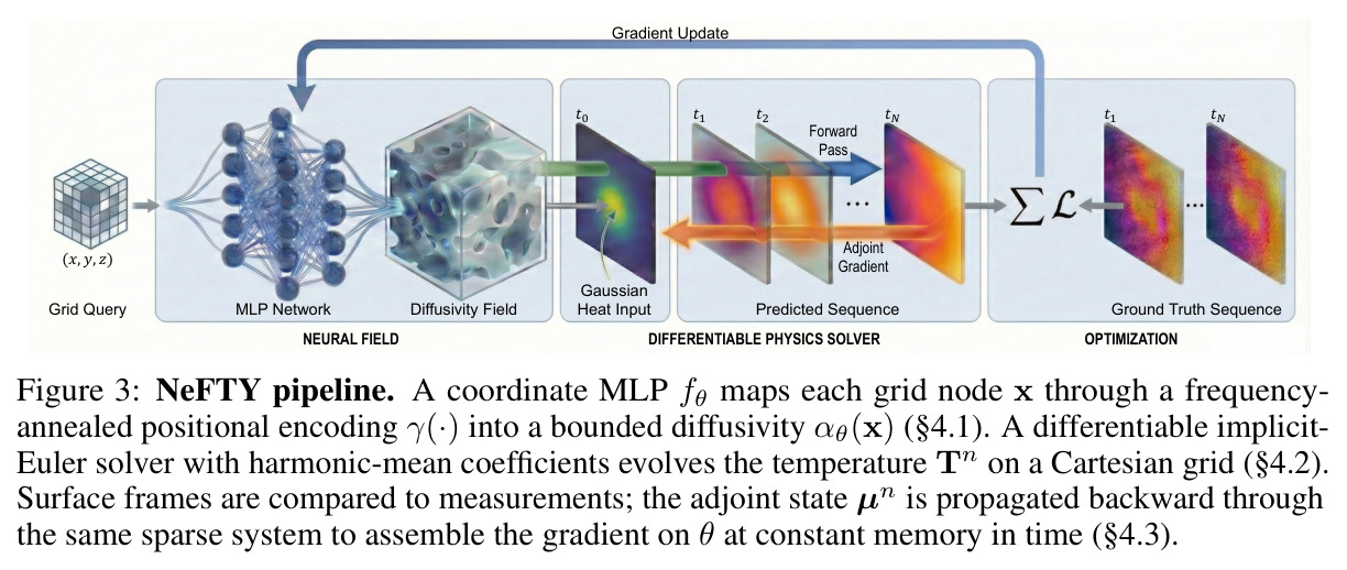 NeFTY pipeline. A coordinate MLP ftheta maps each grid node x through a frequency-annealed positional encoding into a bounded diffusivity alphatheta(x). A differentiable implicit-Euler solver with harmonic-mean coefficients evolves the temperature Tn on a Cartesian grid. Surface frames are compared to measurements; the adjoint state mun is propagated backward through the same sparse system to assemble the gradient on theta at constant memory in time.