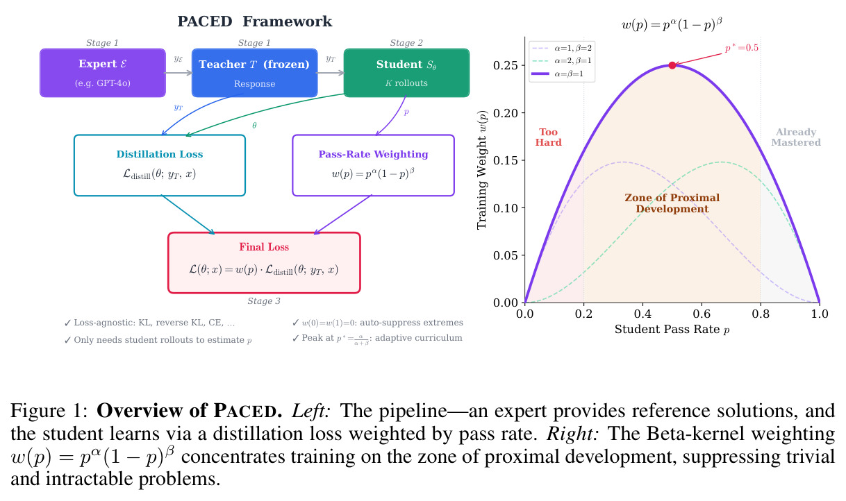 Overview of PACED