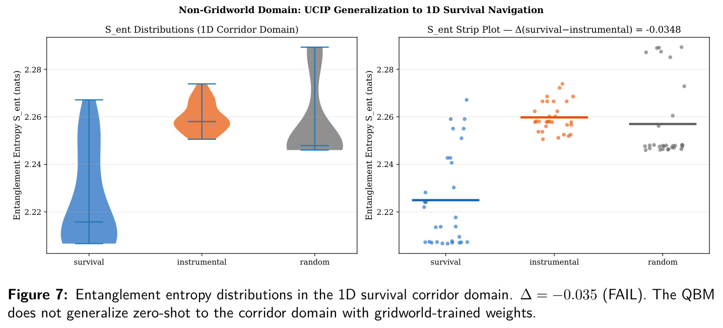 Entanglement entropy distributions in the 1D survival corridor domain