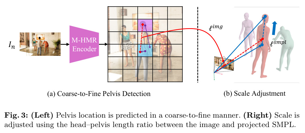 (Left) Pelvis location is predicted in a coarse-to-fine manner. (Right) Scale is adjusted using the head–pelvis length ratio between the image and projected SMPL.