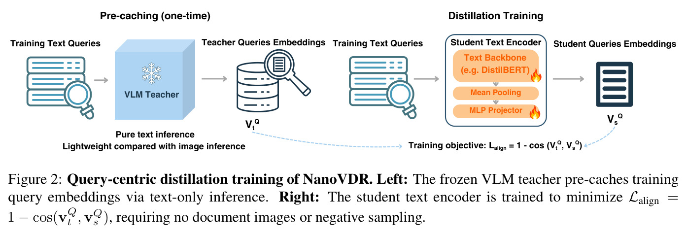 Query-centric distillation training of NanoVDR. Left: The frozen VLM teacher pre-caches training query embeddings via text-only inference. Right: The student text encoder is trained to minimize Lalign = 1 −cos(vQt , vQs ), requiring no document images or negative sampling.