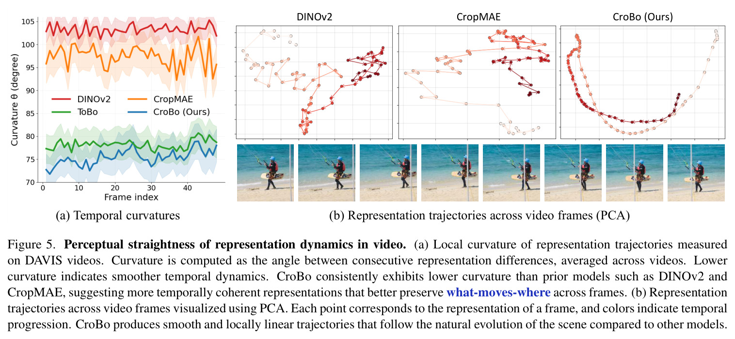 Perceptual straightness of representation dynamics in video.