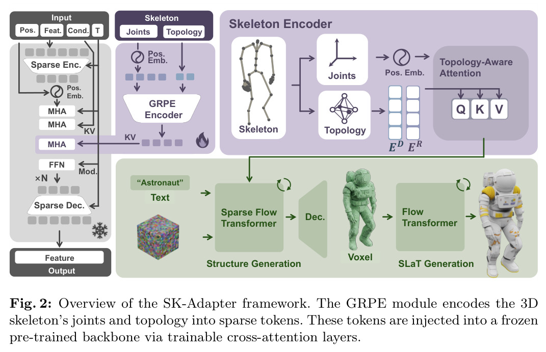 Overview of the SK-Adapter framework. The GRPE module encodes the 3D skeleton's joints and topology into sparse tokens. These tokens are injected into a frozen pre-trained backbone via trainable cross-attention layers.