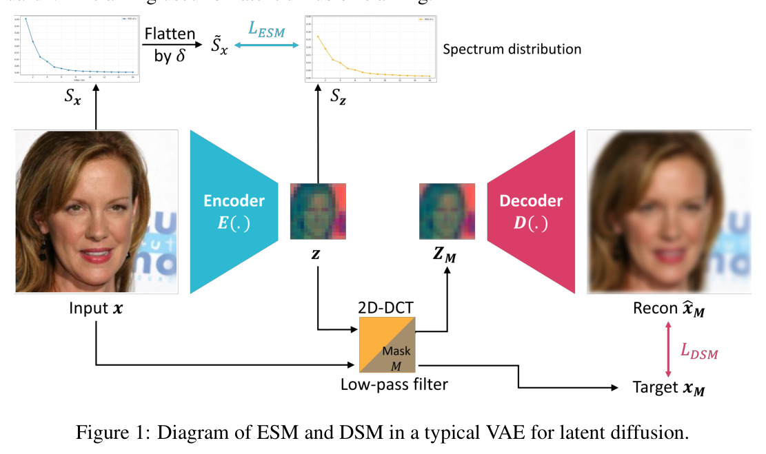 Diagram of ESM and DSM in a typical VAE for latent diffusion.