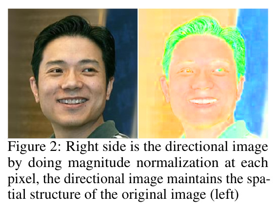 Right side is the directional image by doing magnitude normalization at each pixel.