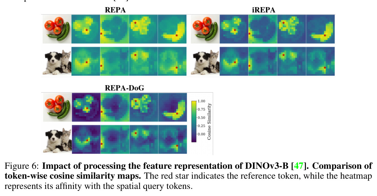 Impact of processing the feature representation of DINOv3-B.