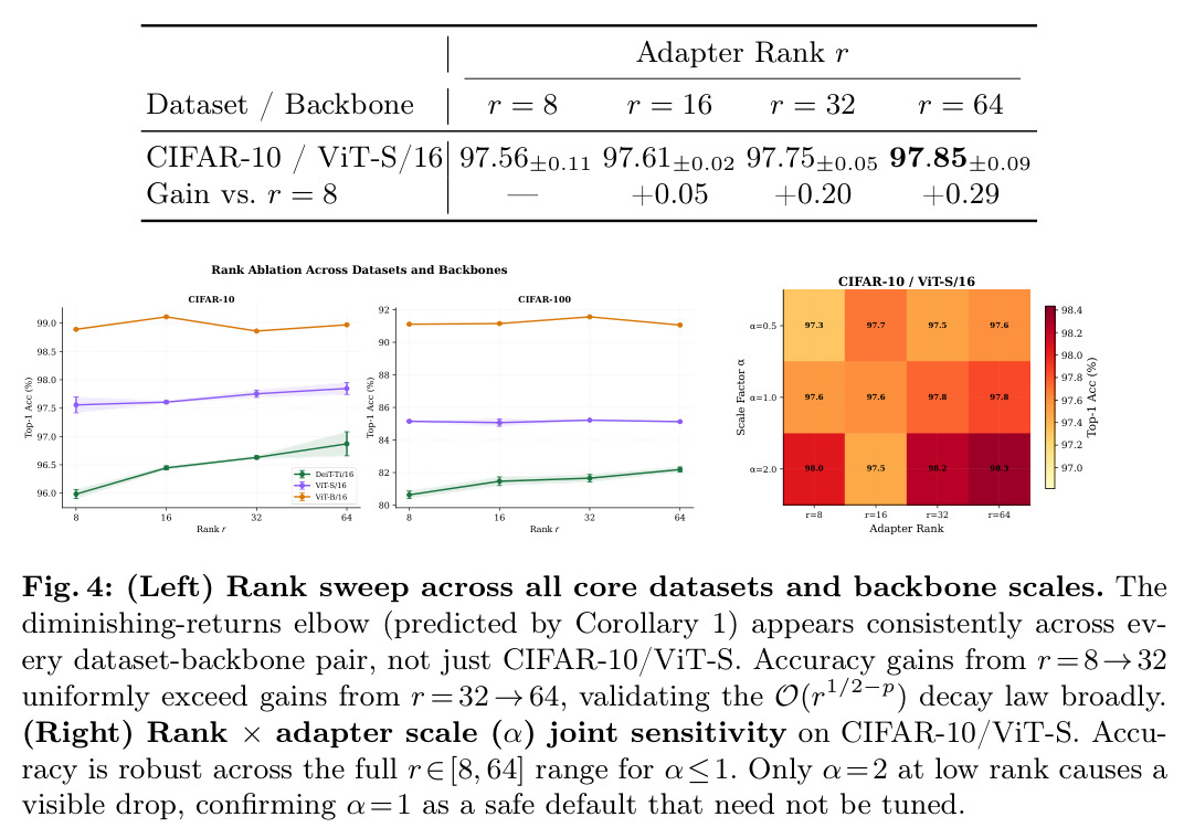 Rank Ablation Across Datasets and Backbones
