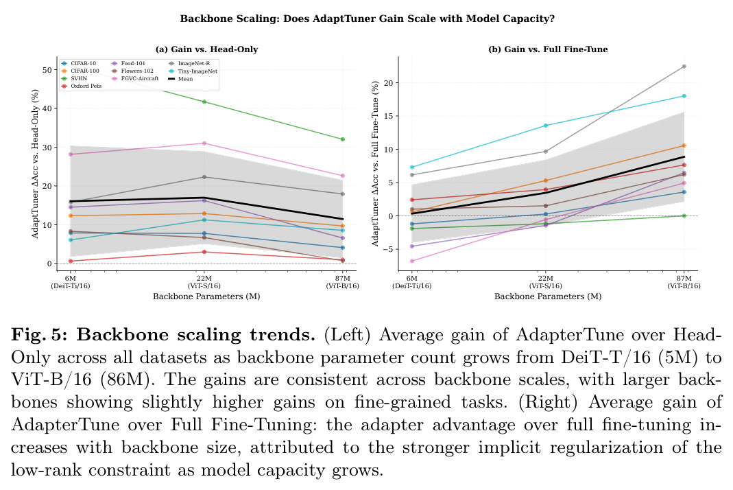 Backbone Scaling: Does AdapterTune Gain Scale with Model Capacity?
