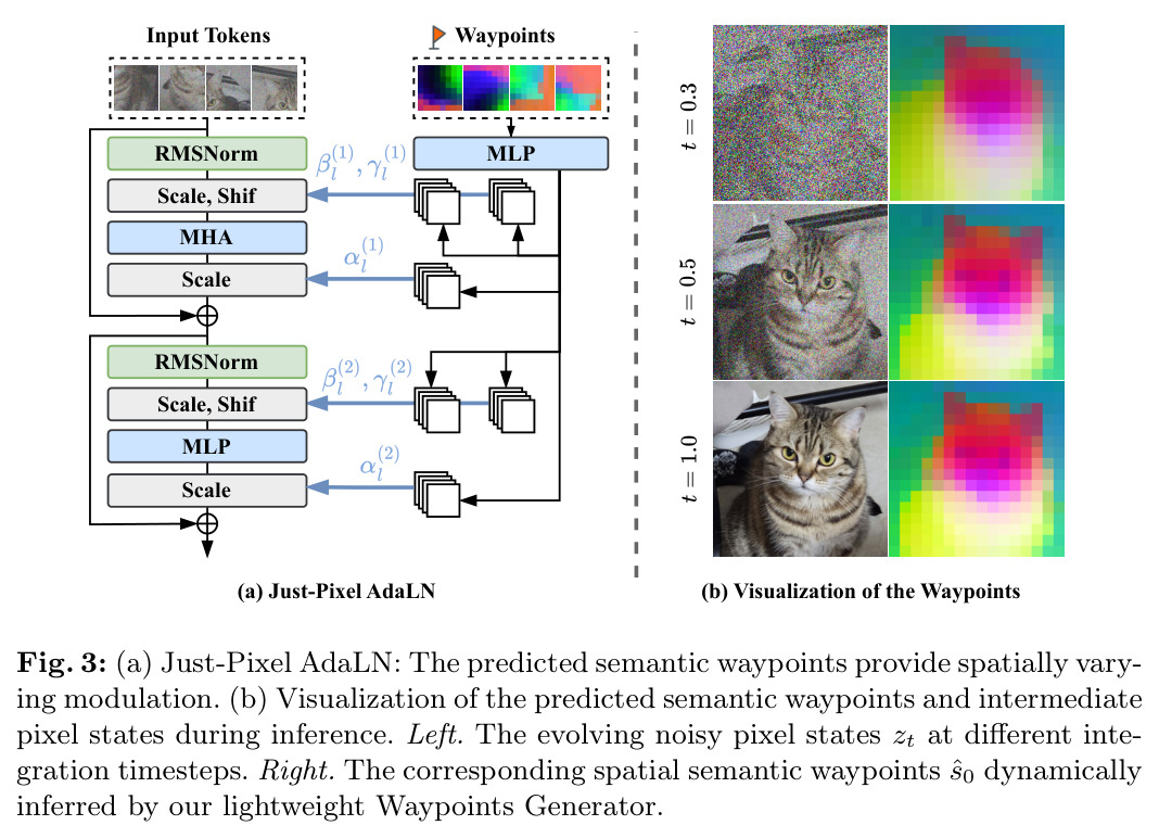 Just-Pixel AdaLN 机制与航点可视化