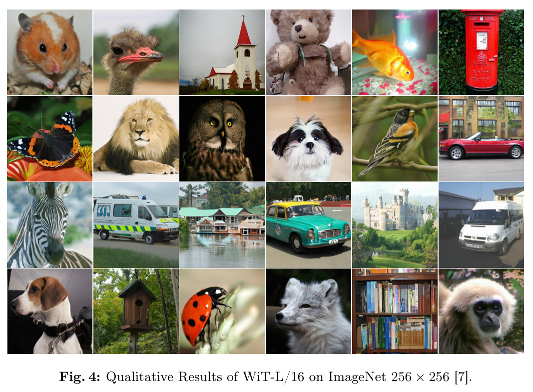 WiT-L/16 在 ImageNet 256×256 上的定性结果