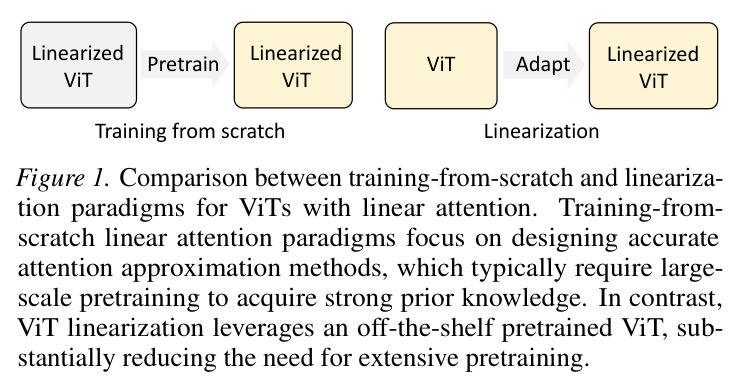 Comparison between training-from-scratch and linearization paradigms for ViTs with linear attention