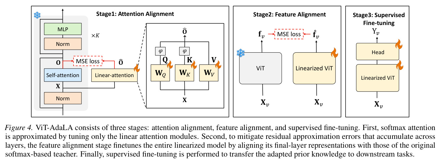 ViT-AdaLA consists of three stages attention alignment feature alignment and supervised fine-tuning