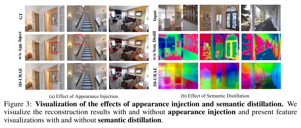 Visualization of the effects of appearance injection and semantic distillation