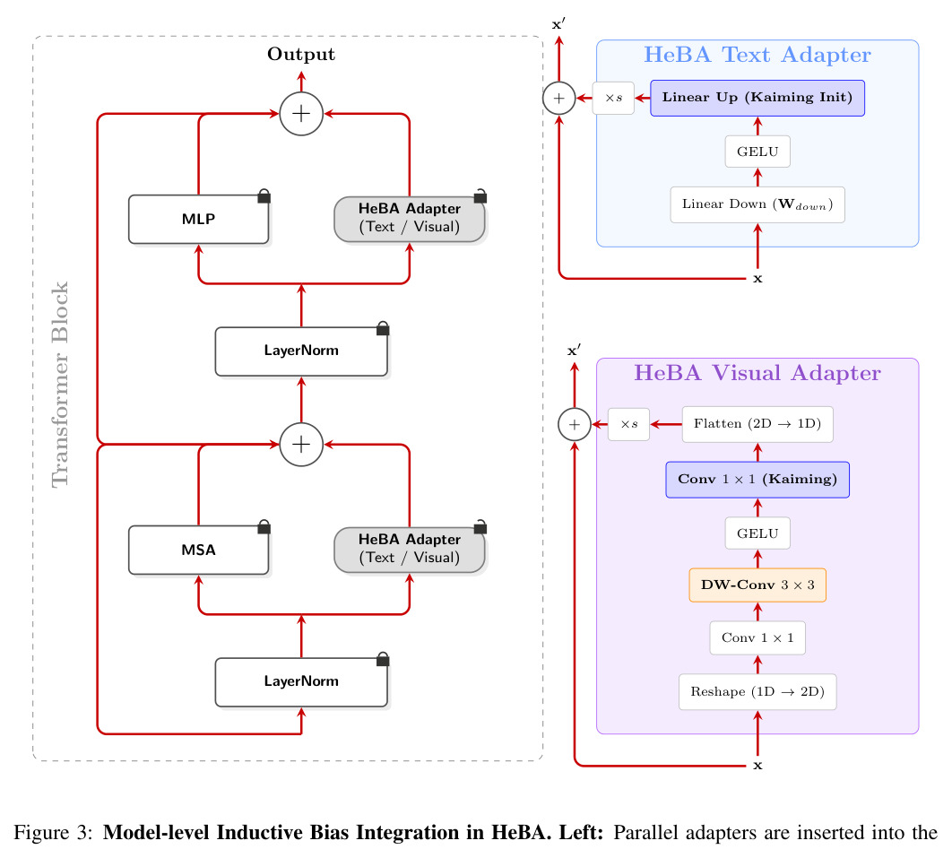 Model-level Inductive Bias Integration in HeBA