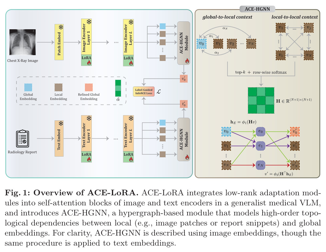 Overview of ACE-LoRA